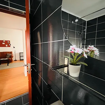 Flower - 3 * Cluj-Napoca