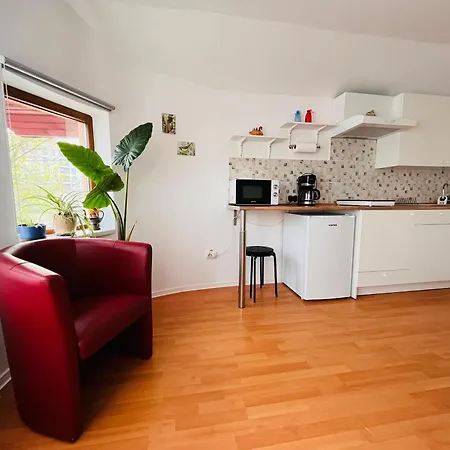 Flower - 3 Apartament Kluż-Napoka