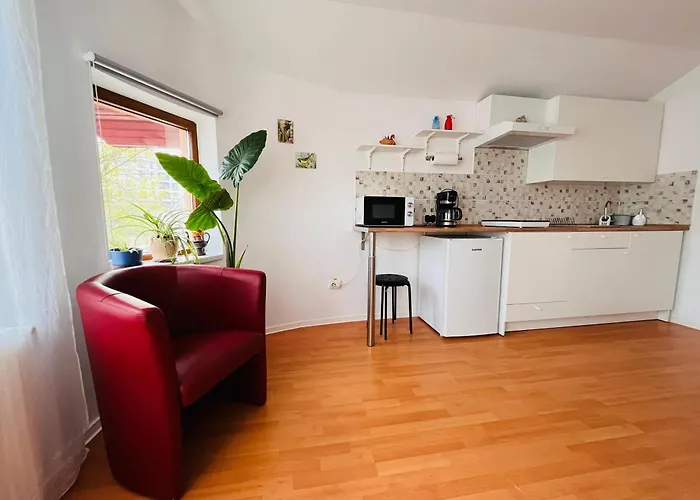 Flower - 3 Apartament Kluż-Napoka