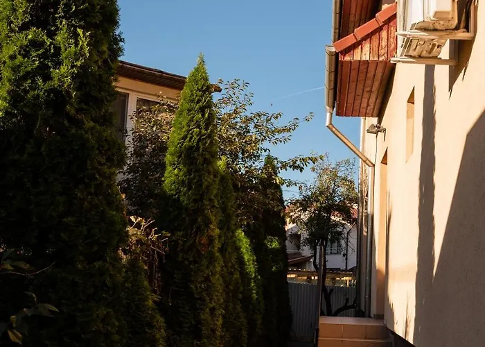 Flower - 3 Daire Kaloşvar